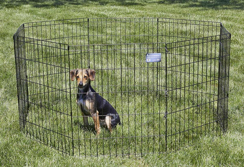 DogFenceforLargeDogs