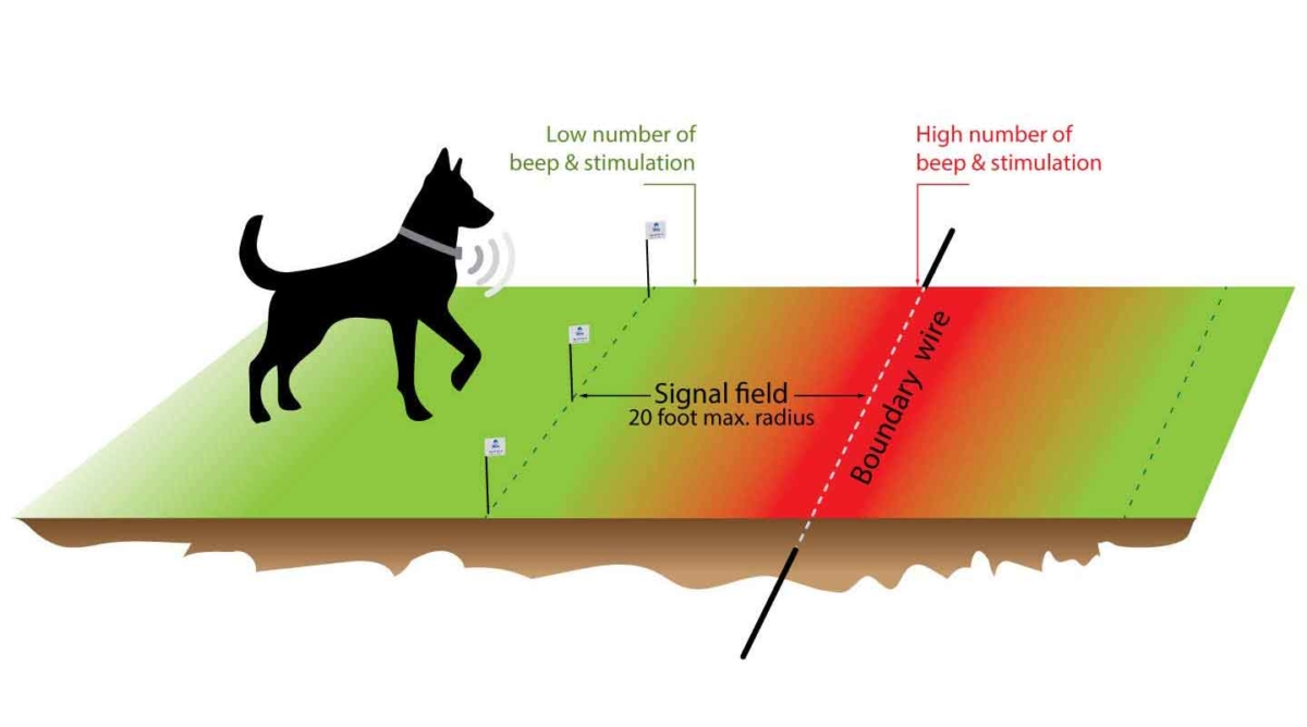 Best Custom Shape Wireless Dog Fence