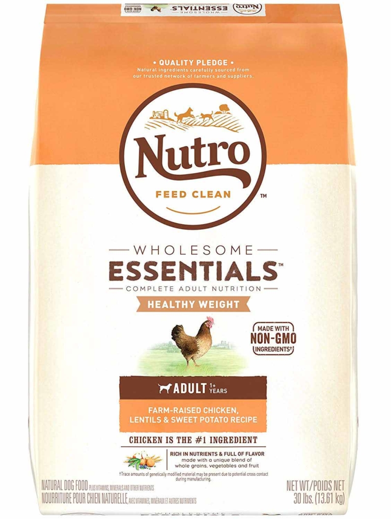 10 Best Low Protein Dog Food for Senior Dogs