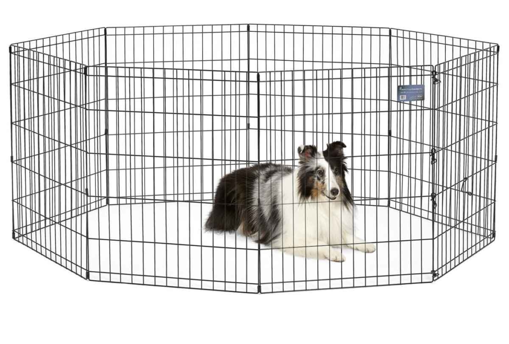 Best Portable Dog Fence for Large Dogs