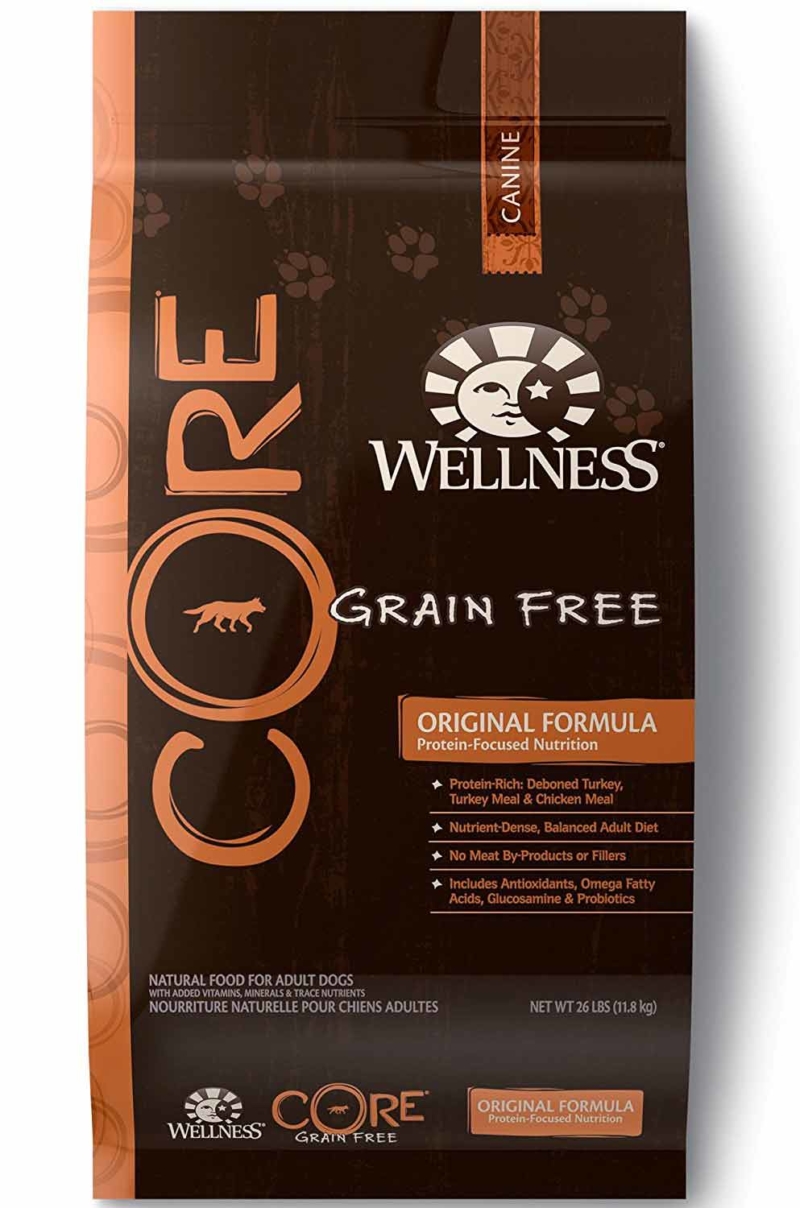 The Top 4 Healthy Dog Food Brands for Your Fido